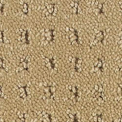 Aerosteam Carpet Selection Guide - Loop Pile Carpet