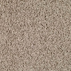 Aerosteam Carpet Selection Guide - Polyester Carpet