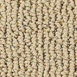 Aerosteam Carpet Selection Guide - Smart Strand Carpet