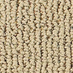 Aerosteam Carpet Selection Guide - Smart Strand Carpet