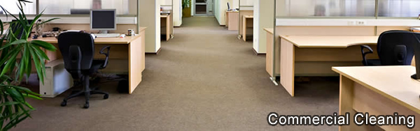 Aerosteam has served Middle Tennessee Businesses since 1985 with Commercial Carpet Cleaning